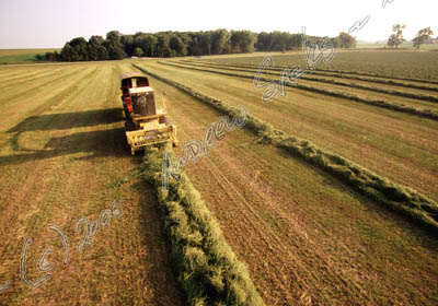 Organic silage, WI