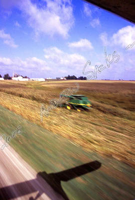 Corn harvest, IA