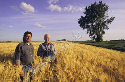 Father and son, MN