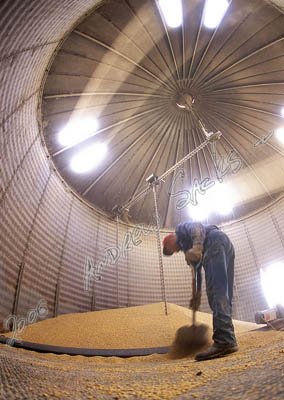 Grain bin, IA