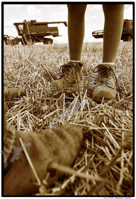 Farmer and son, MN