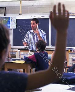 Boy raises hand in science class