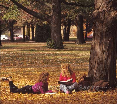 Two girls study under tree on college campus