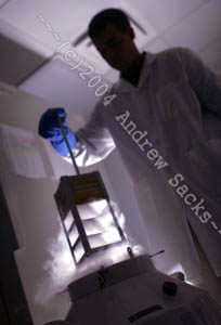 Tissue samples in liquid nitrogen