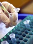 Lab vials in tray